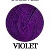 violet.jpg